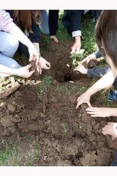 Δημοτικό Σχολείο Χέρσου: Φυτεύω και υιοθετώ ένα δέντρο