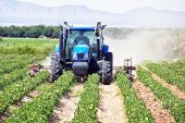Προκαταβολή της βασικής ενίσχυσης σε 10.000 δικαιούχους αγρότες του Κιλκίς