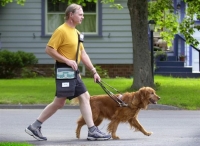 Με τη συνοδεία σκύλου οδηγού οι τυφλοί στα ΜΜΜ