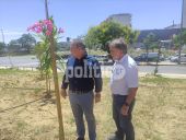 Δήμος Θεσσαλονίκης: Φυτεύτηκαν 100 δέντρα στη δυτική είσοδο – «Κάνουμε συνεχείς δράσεις για το περιβάλλον» τονίζει ο Στέλιος Αγγελούδης