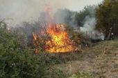 Σύλληψη ενός ατόμου για πυρκαγιά στην Ποντοηράκλεια Κιλκίς - Καθάριζε το χωράφι του