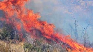 Πυρκαγιά στην περιοχή Λιβάδι του δήμου Θέρμης- Δεν απειλούνται κατοικημένες περιοχές