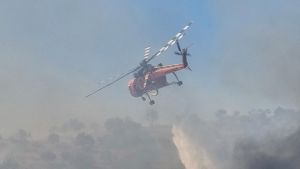 Έβρος: Πυρκαγιά σε δύσβατη δασική έκταση στο Σουφλί
