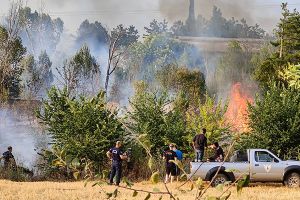 Πυρκαγιά ξέσπασε στην περιοχή του πρώην στρατοπέδου Δογάνη στο Κιλκίς