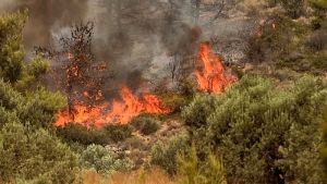 Φωτιά στο Ειρηνικό Κιλκίς: Μερικός έλεγχος και σταδιακή αποχώρηση των πυροσβεστικών δυνάμεων